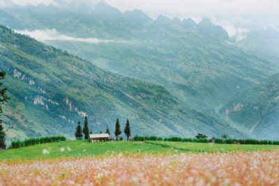 Sa Pa, Hà Giang chật vật 'chưa từng có' trong mùa cao điểm