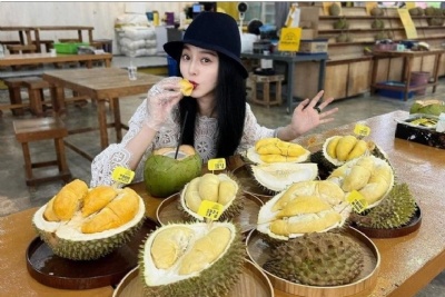 Rộ tour du lịch sầu riêng ở Đông Nam Á